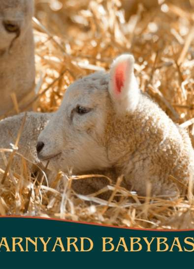 Barnyard Baby Bash