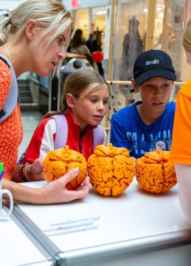 Our Wonderful Brains