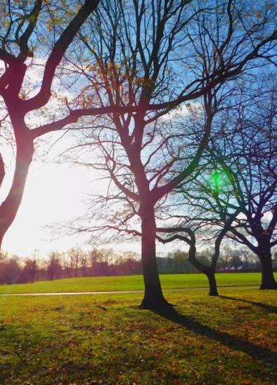 Hopwood Woods Nature Reserve