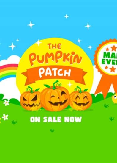The Pumpkin Patch at Cockfield's Farm