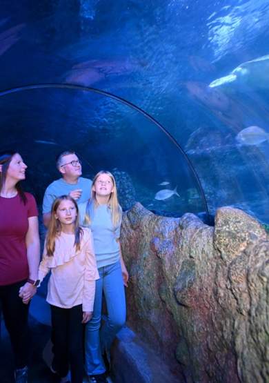 Snowy's Conservation Crew