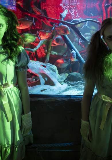 Ascarium: The Cursed Depths