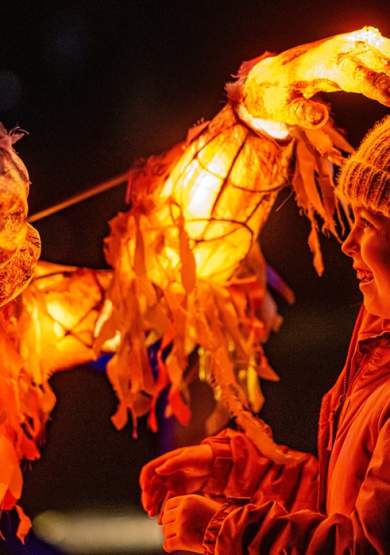 Lanterns and Light at Chester Zoo