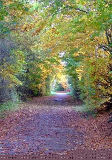 Kirklees Trail