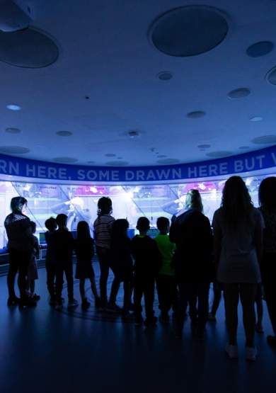 Manchester City Stadium and City Football Academy Tour