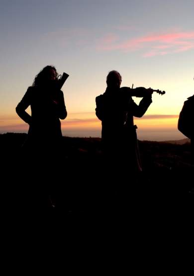 GreenMatthews: Gaudete