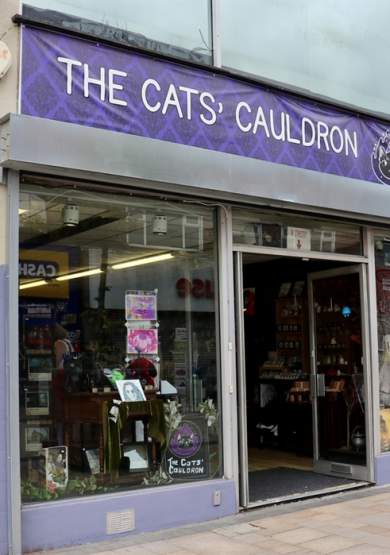 The Cats’ Cauldron