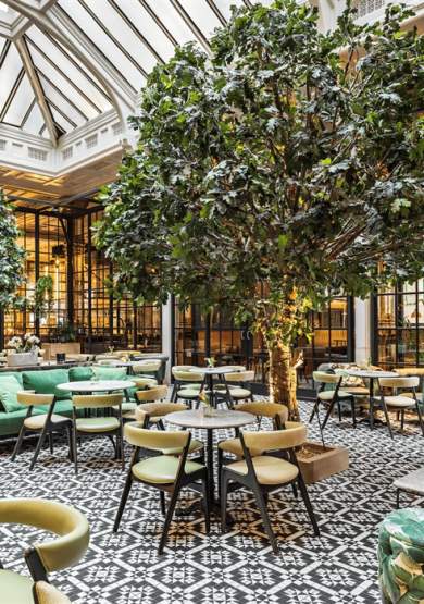 Winter Garden Afternoon Tea at Refuge
