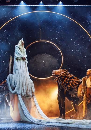 The Lion The Witch and The Wardrobe