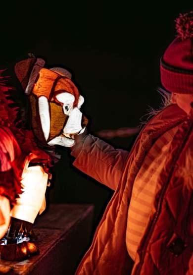 Lanterns and Light at Chester Zoo 2026