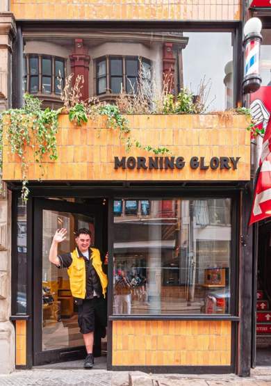 Morning Glory