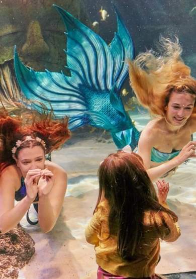 After-hours with the Mermaids
