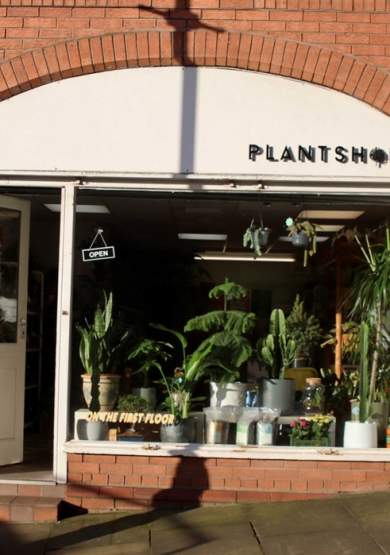 Plant Shop Manchester