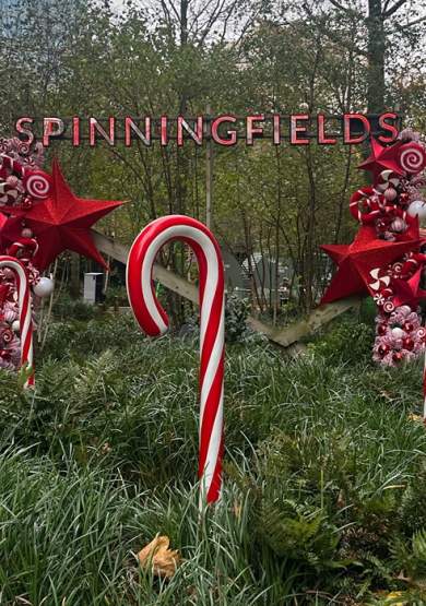 Spinningfields Christmas Installation