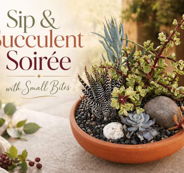 Sip & Succulent Soirée with Small Bites