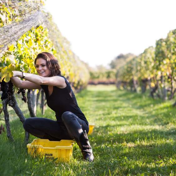 Spotlighting the Women Behind Long Island's Award-Winning Wine Industry