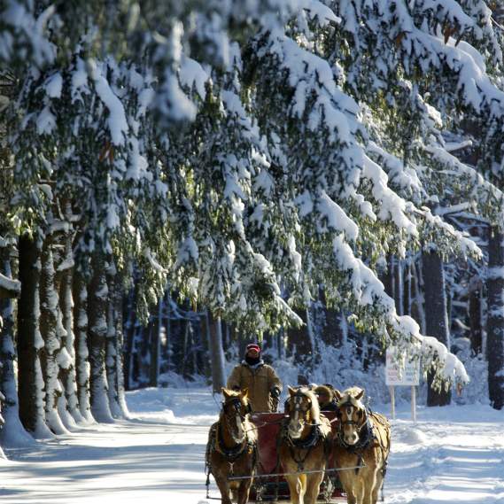7 Best Winter Activities in Syracuse