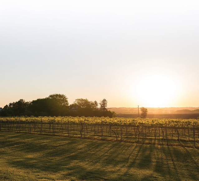 Capitol View Winery
