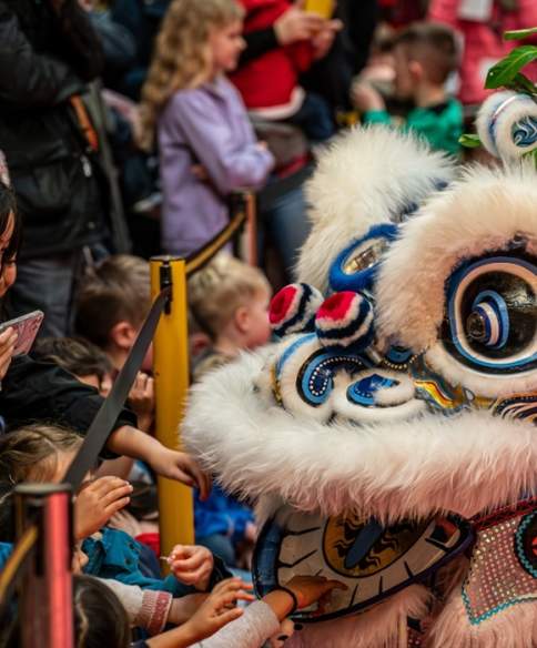 Lunar New Year 2026 at Bristol Museum & Art Gallery