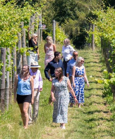 Woodchester Valley Vineyards