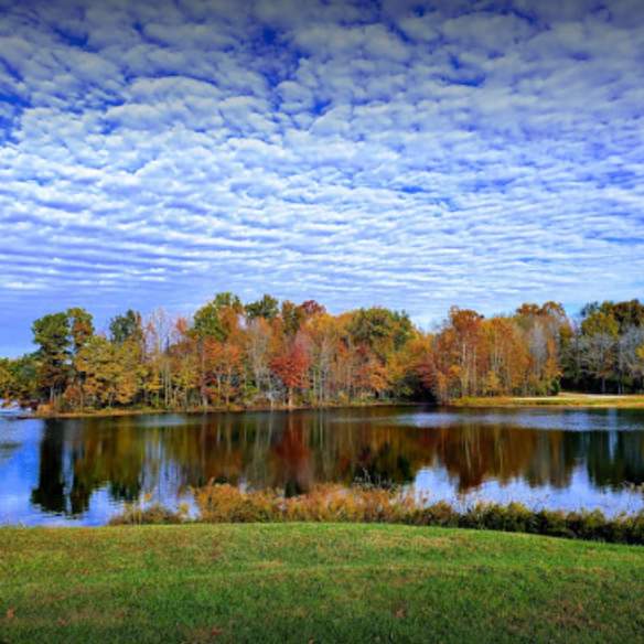 Glendale Fish and Wildlife Area