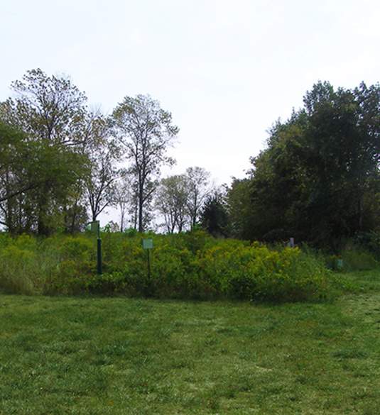 Scheeff East Point Nature Preserve
