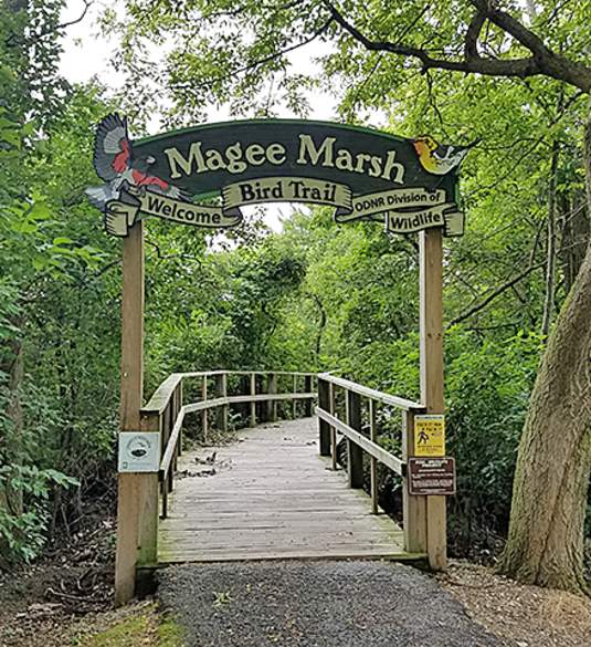 Magee Marsh Wildlife Area