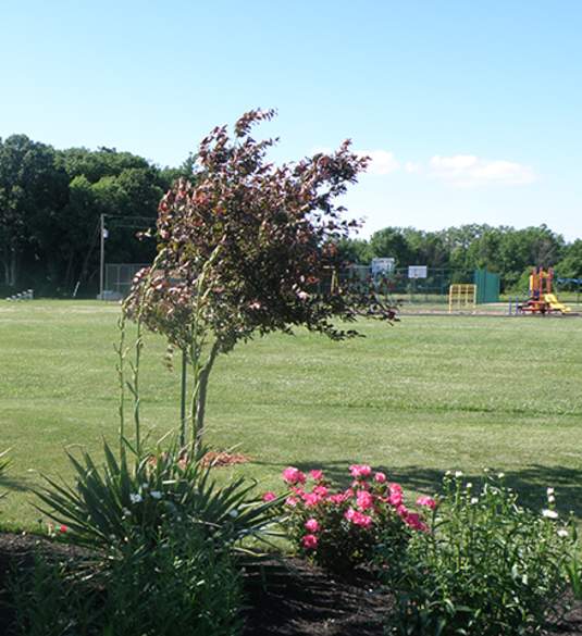 John Braun Park