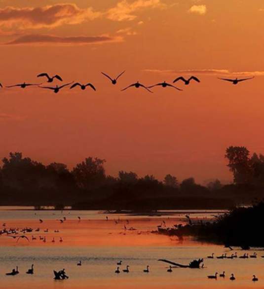 Magee Marsh Wildlife Beach & Crane Creek Estuary Trail