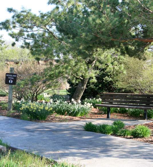 James H. McBride Arboretum