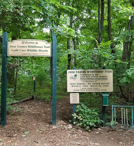 Ladd Carr Wildlife Woods