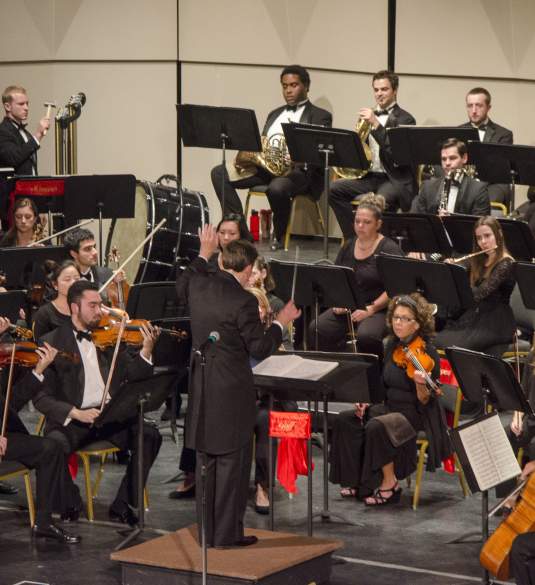Firelands Symphony Orchestra