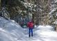 Cross Country Skiing in Langlade County