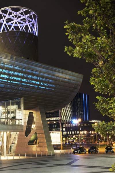 Little Bear and the Christmas Lights