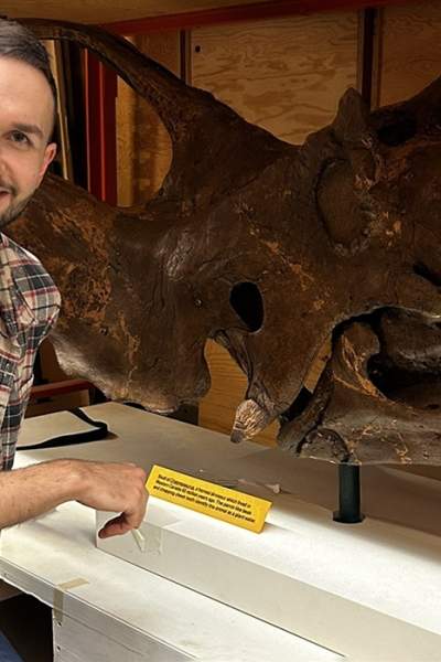 The Secret Lives of Dinosaurs