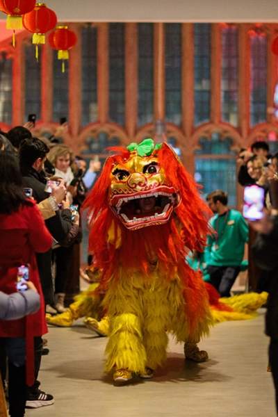 Manchester Museum Celebrates Lunar New Year