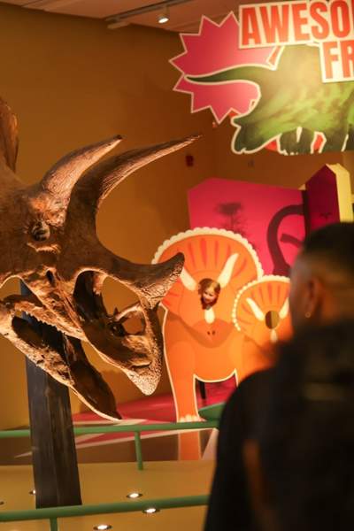 Triceratops: Eat, Roam, Repeat