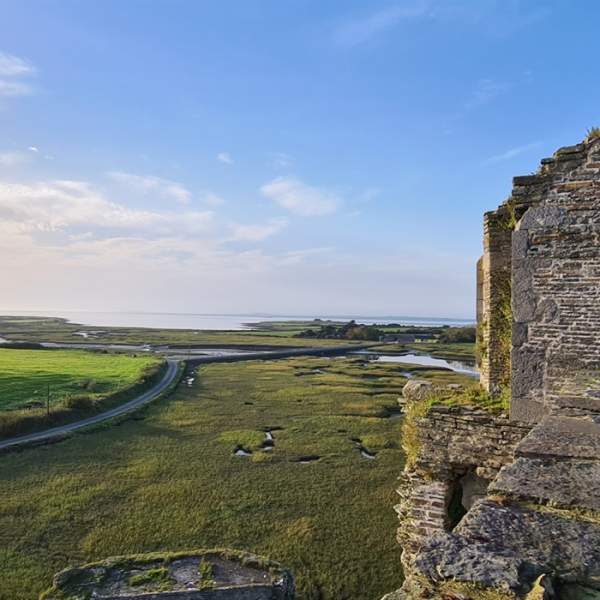 Carrig Island