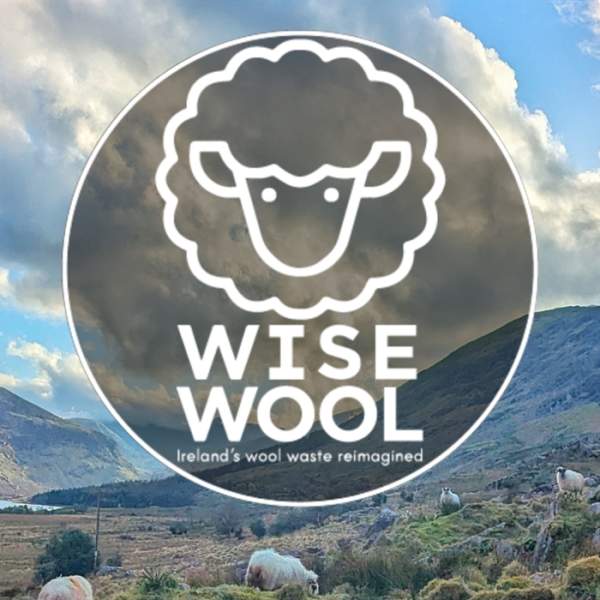 Wise Wool Project