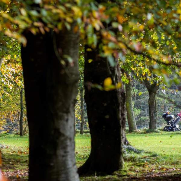Gosford Forest Park