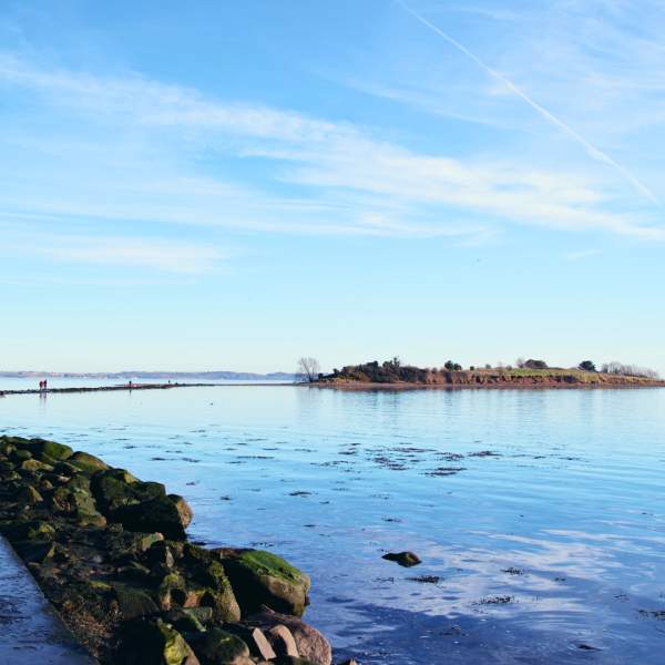 Island Hill & North Strangford Nature Reserve