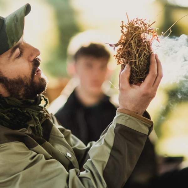 Finnebrogue Woods Gourmet Wild Food and Foraging