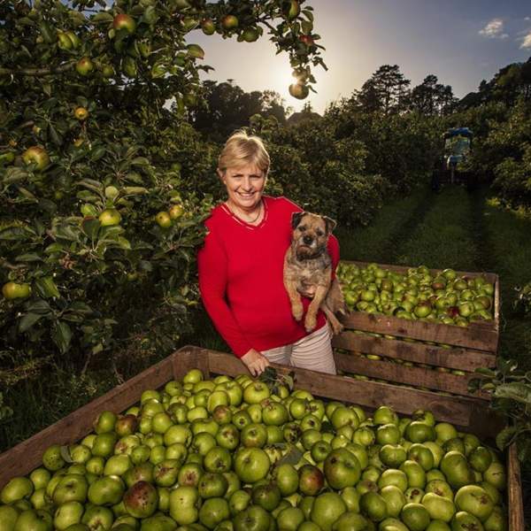 Armagh Cider Company