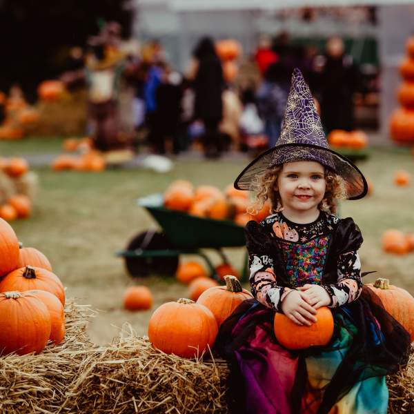 Ark Open Farm - Pumpkin Patch