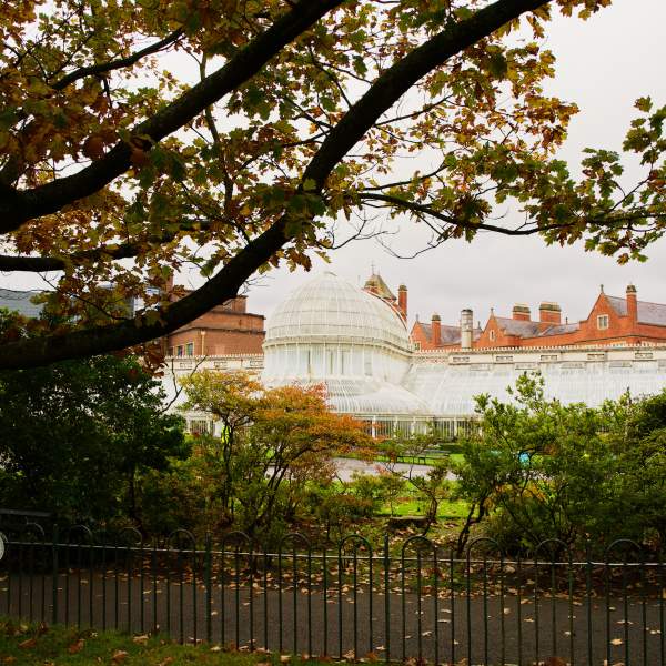 Belfast Botanic Gardens and Palm House