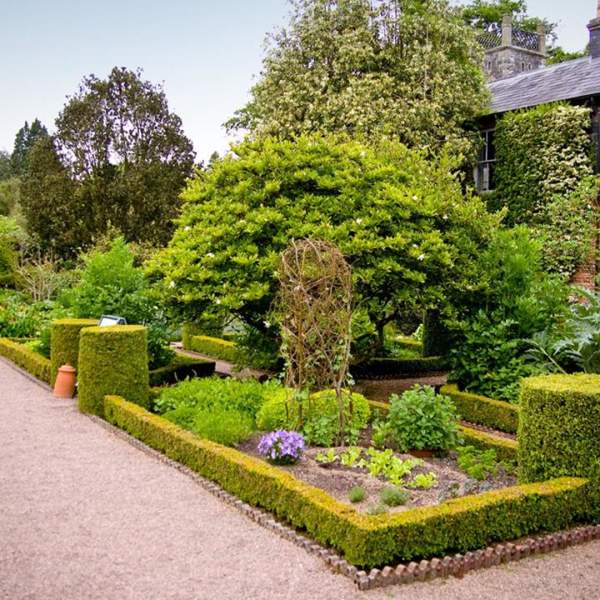 Rowallane Garden