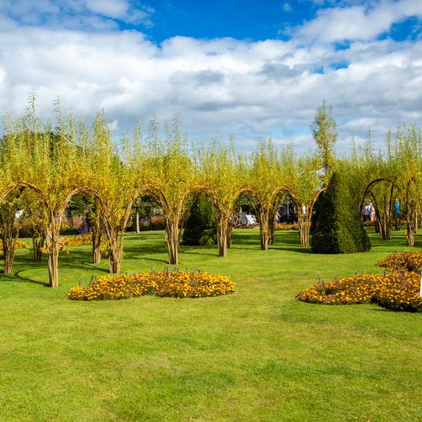 Bangor Castle Walled Garden