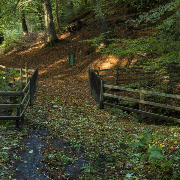 Crawfordsburn Country Park