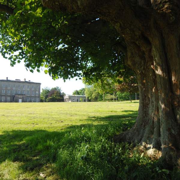 The Palace Demesne Public Park