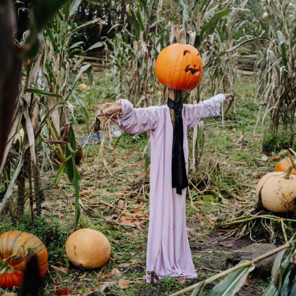 Hallowe'en at Ulster American Folk Park